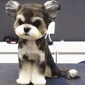 女生把疾子放在放眼里不能
