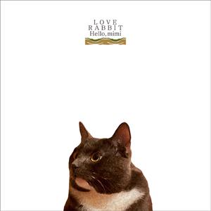 女生把疾子放在放眼里不能
